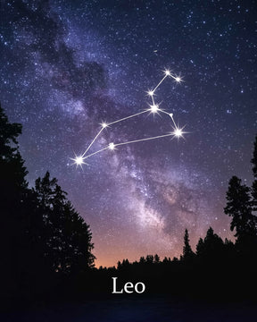 Dipingi con i numeri - Segno zodiacale - Leone