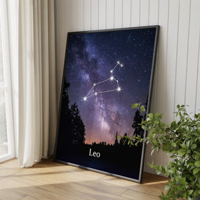 Dipingi con i numeri - Segno zodiacale - Leone
