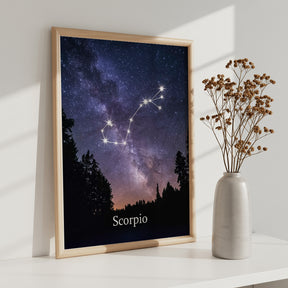 Dipingi con i numeri - Segno zodiacale - Scorpione