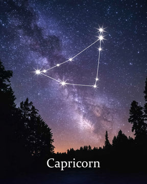 Dipingi con i numeri - Segno zodiacale - Capricorno