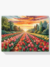 Malen nach Zahlen &#8211; Tulpensinfonie