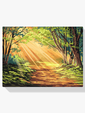 Dipingi con i numeri - Sentiero nel bosco con la luce del sole che filtra tra gli alberi