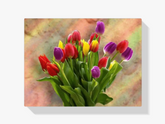 

dipingere con i numeri - tulpeni colorati