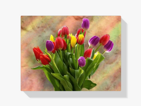 

dipingere con i numeri - tulpeni colorati