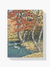 Malen nach Zahlen – Herbst in Oirase
