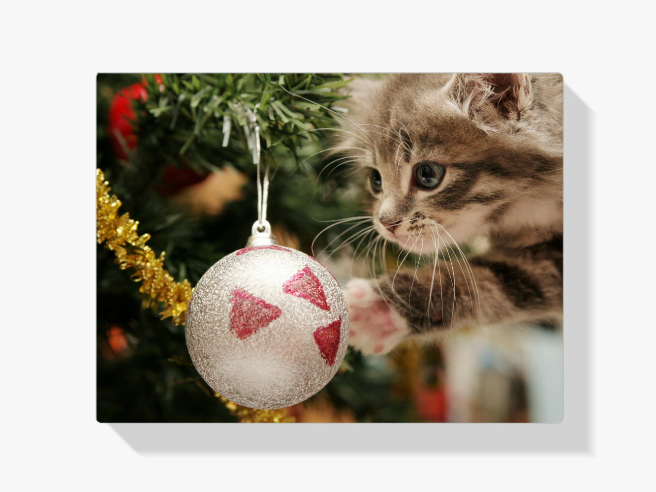 

Dipingere con i numeri – Gatto con palla di Natale