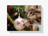 

Dipingere con i numeri – Gatto con palla di Natale