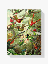 

dipingere con i numeri – colibri