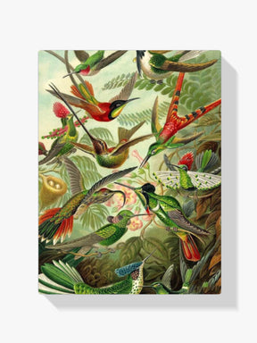 

dipingere con i numeri – colibri