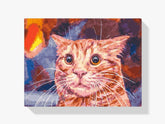 

dipingere con i numeri - gatto divertente