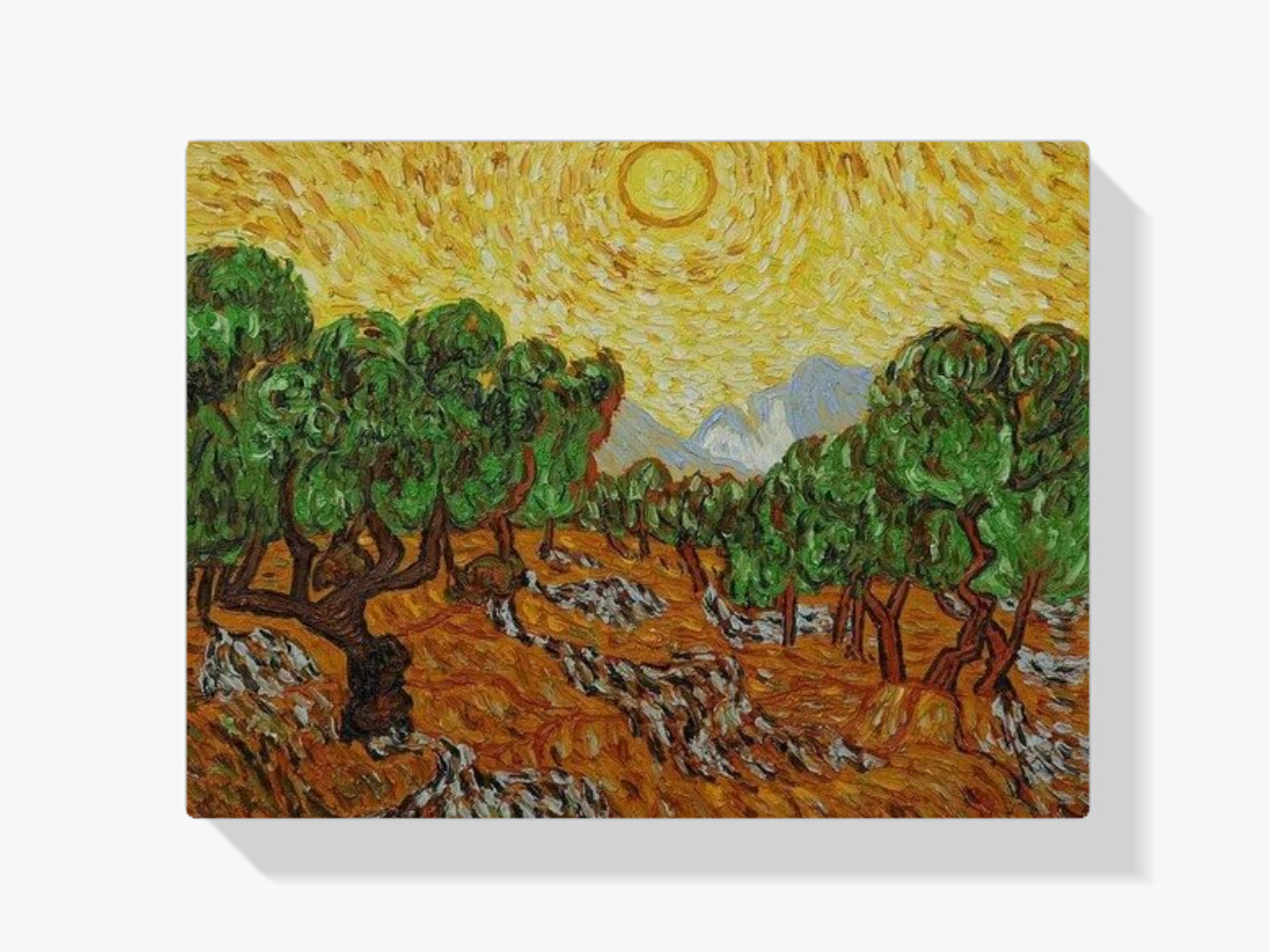 

Dipingere con i numeri - Alberi di olivo
