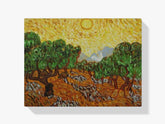 

Dipingere con i numeri - Alberi di olivo