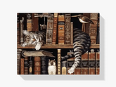 Malen nach Zahlen – Schlafende Katze in der Bibliothek
