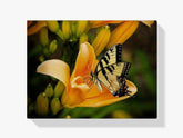 Malen nach Zahlen – Schmetterling auf Tulpe
