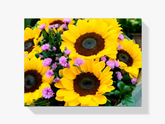 

Dipingere con i numeri - bellissimi girasoli