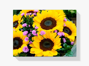 

Dipingere con i numeri - bellissimi girasoli