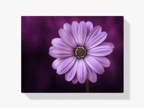 

Dipingere con i numeri – bella fiore viola