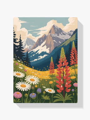 

Dipingere con i numeri - Weidenfaden