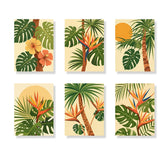 

Dipingere con i numeri - 6 Mini Quadri | Set Tropikflimmern