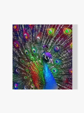 Pfau - Malen nach Zahlen