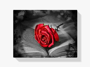 Rote Rose - Malen nach Zahlen