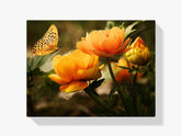 Schmetterling auf oranger Blüte - Malen nach Zahlen