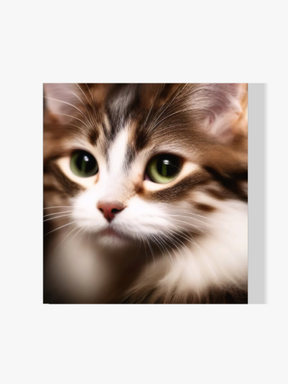 Schöne Katze - Malen nach Zahlen