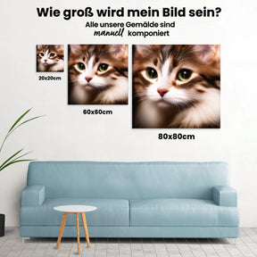 Schöne Katze - Malen nach Zahlen