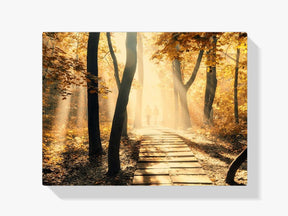 Waldweg - Malen nach Zahlen