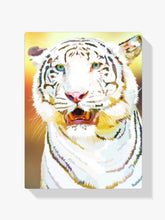 Weißer Tiger - Malen nach Zahlen