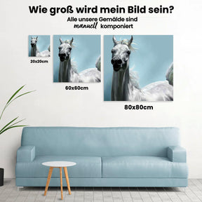 Weißes Pferd im Wind - Malen nach Zahlen